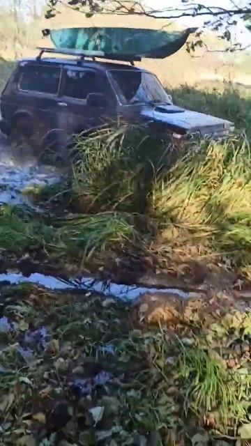 #бездорожье #нива #2022