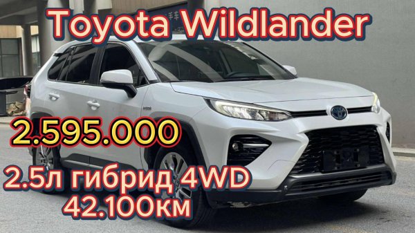 Обзор Toyota Wildlander 2020г