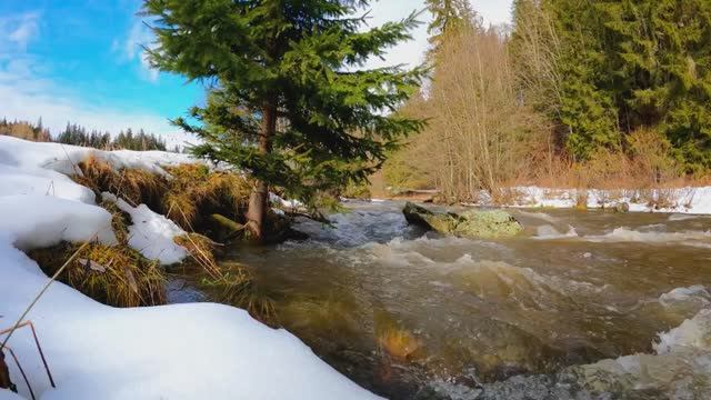 Красивая Природа весеннего леса России под мелодию Русской народной музыки. Ледоход на реке в Твери!