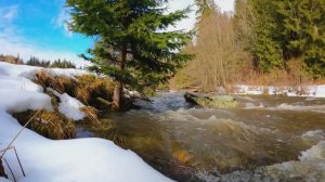 Красивая Природа весеннего леса России под мелодию Русской народной музыки. Ледоход на реке в Твери!