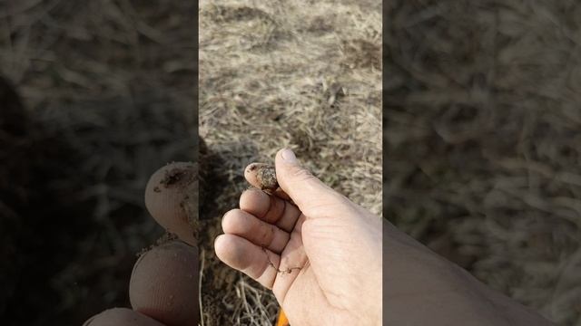 копаю после женовского праздника