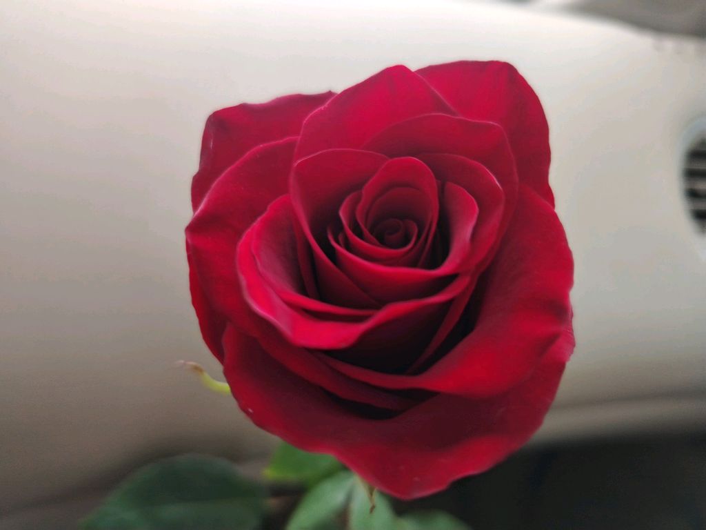 Стоим для вас