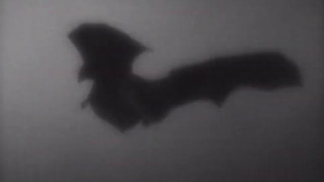 ГОСТМЕЙН смотреть онлайн