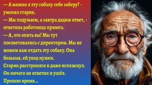 "Дедушка полюбил бедную, хромую собаку"/Истории семейные реальные/О животных