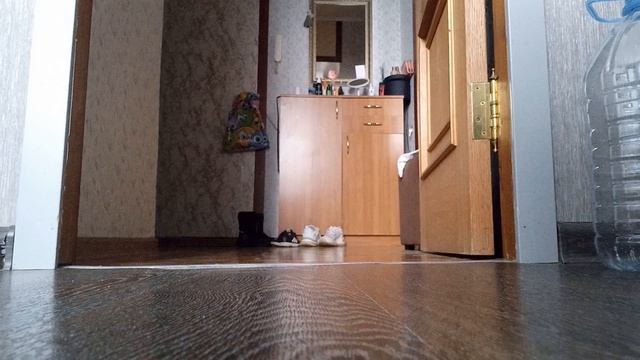 1000016519.mp4 смотреть онлайн
