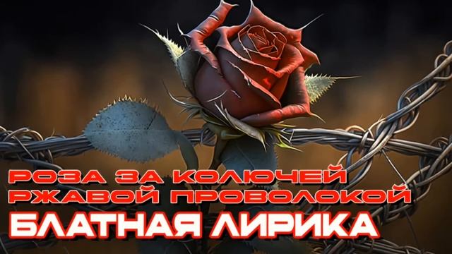 Роза за колючей ржавой проволокой | Блатная Лирика | Душевные хиты о неволе #блатняк #блатнойудар
