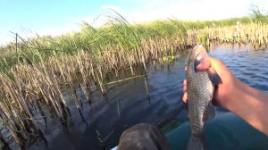 Рыбалка на поплавок ,линь.