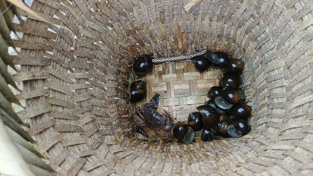 Single mother: Returning home with her daughter after a storm - orphaned Po смотреть онлайн