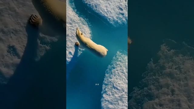 Взаимоподписка