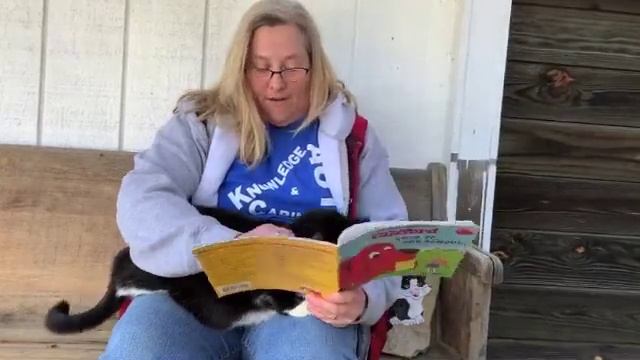 Bedtime with Bob: Clifford Goes to Dog School смотреть онлайн