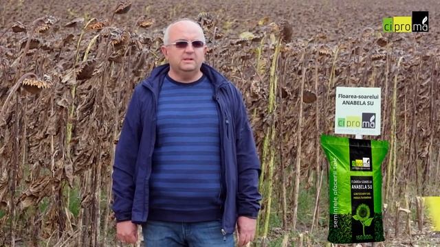 Anabela SU @ S.C. Calistiro Agro srl, Poienari, NT смотреть онлайн