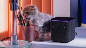 Обзор и первое включение Яндекс Станция Миди с Zigbee