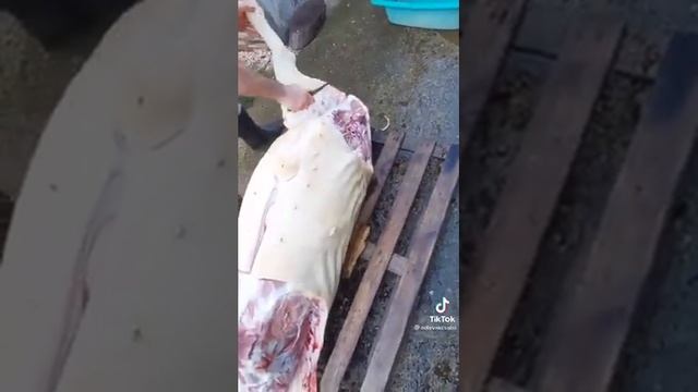 Как правильно разделать хрюшку -2 смотреть онлайн