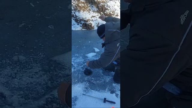 поимки форели смотреть онлайн