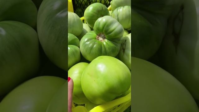 Воспоминания о лете, мой участок сезон 2024 смотреть онлайн