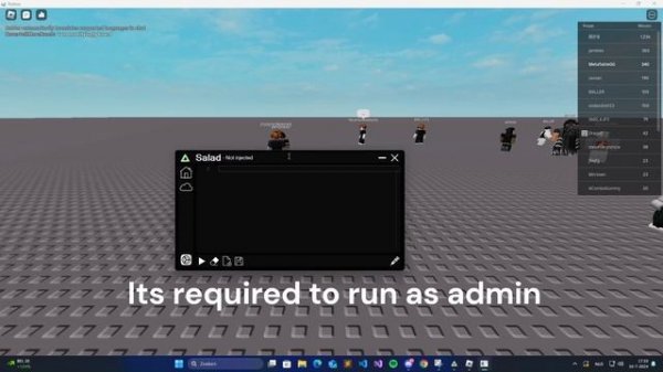 NEW EXECUTOR SALAD (LEVEL 8)