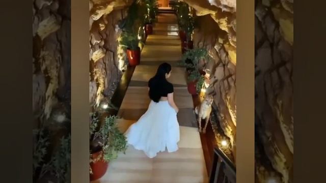 Шабнами Сурайё дар Дубай 2021 смотреть онлайн