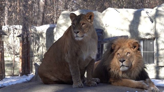 Сэм и Найти на камне. 18.03.2022 смотреть онлайн