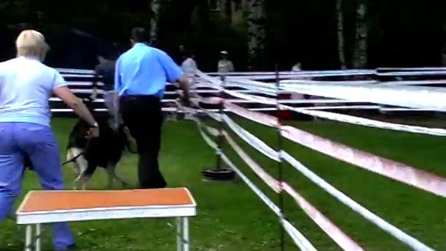MOV018.MOD Сравнение смотреть онлайн