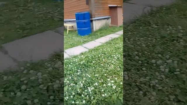 Загадочное лето солнцем июльским согрето...❤❤❤🌼 смотреть онлайн