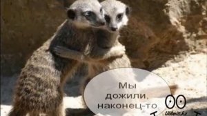 Песня сегодня пятница