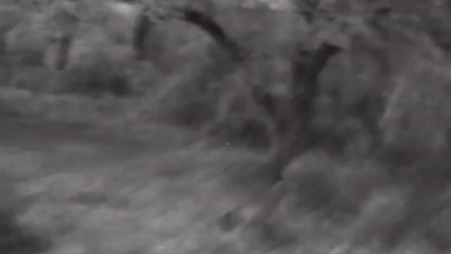 Esperas aos Javalis com Pulsar Digex N450 e Mauser M18 .270Win смотреть онлайн