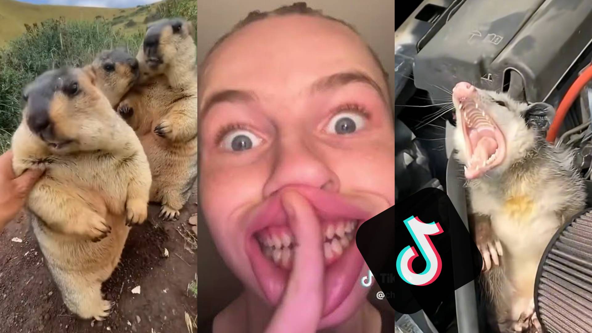 Приколы TikTok 🤣🔥🔥🔥🤣 Новая подборка 2025 #1