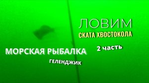 Ловим ската хвостокола на морской рыбалке в Геленджике 2 часть. Подводная съемка.