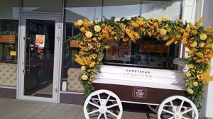 Тележка video_2025-03-18_17-08-53