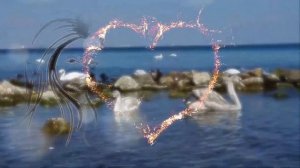 Маргарита Суханкина "Война и мир"