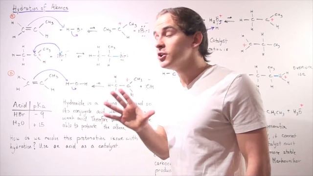 Hydration Reaction and Mechanism смотреть онлайн