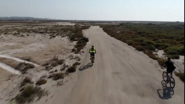 DJI Mavic Air: modo Activetrack. смотреть онлайн