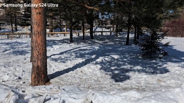 S25 Ultra vs S24 Ultra Битва титанов