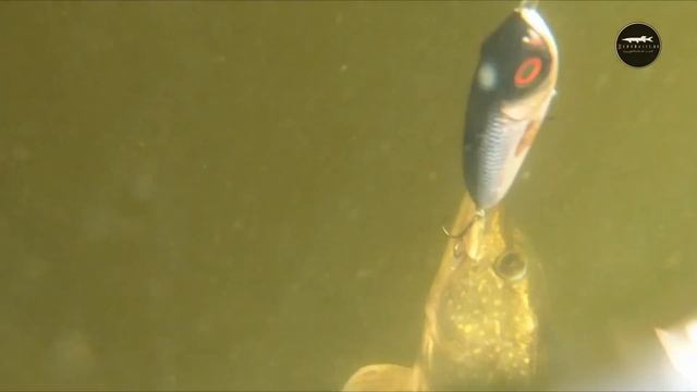 Лучший Джерк этого сезона - McTracer (Abu Garcia\Svartzonger) смотреть онлайн