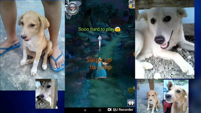 Hack Temple Endless run 2 смотреть онлайн