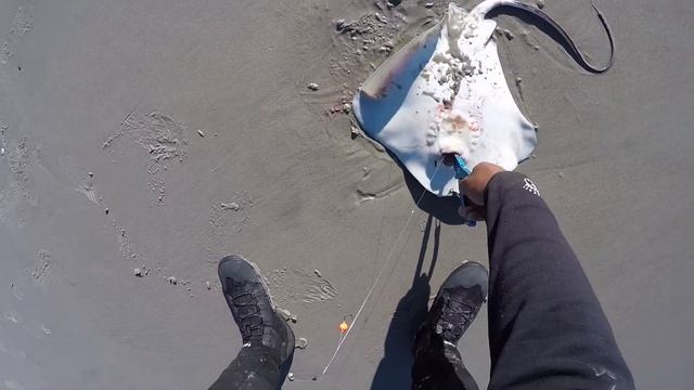 BEAUFORT NC!!! FORT MACON NC!!! RADIO ISLAND NC!!! PICK ONE!!! смотреть онлайн
