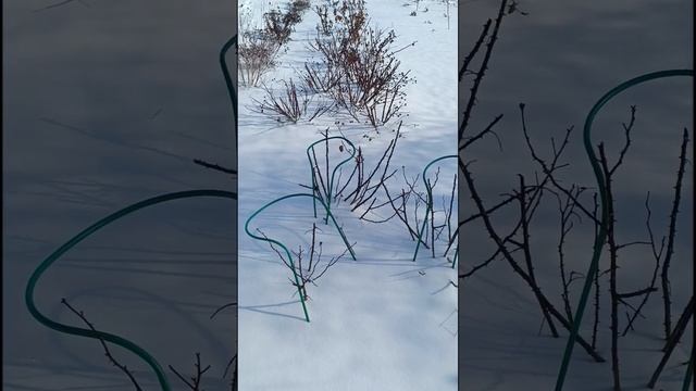 Торопиться не надо. смотреть онлайн