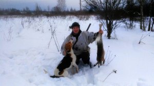 ЗАКРЫТИЕ ОХОТЫ С ГОНЧЕЙ НА ЗАЙЦА/ УЧИТЕСЬ У БЫВАЛОГО ОХОТНИКА/ ОПРЕДЕЛЯЕТ НА ГОНУ ПОЛ ЗВЕРЬКА