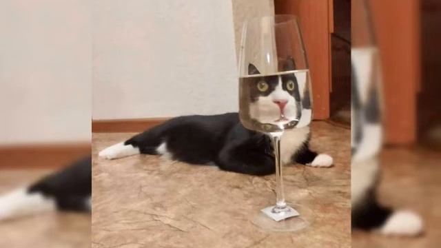 Odd Sweetheart - Structure (sped Up + Reverb)