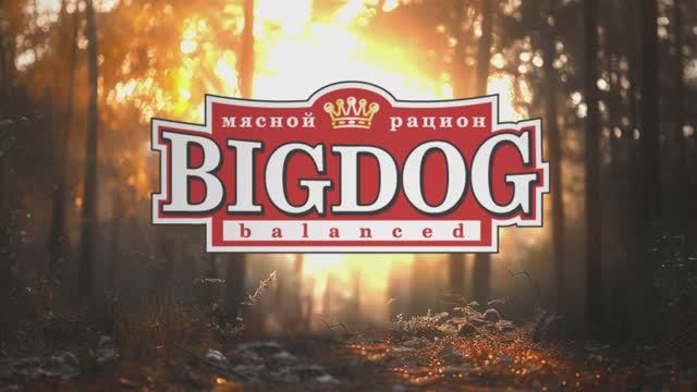 ZOOGURMAN BIGDOG ADVERTISING