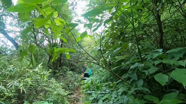 ANDHARBAN : The Dark Forest of Maharashtra | Jungle trek | Travel vlog | Travel vlog India | смотреть онлайн
