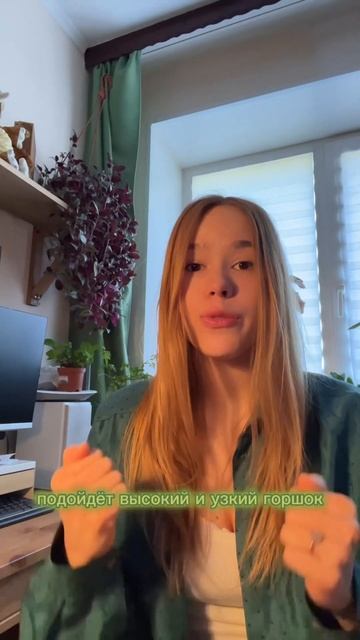 Как подобрать форму горшка? Подписывайся, здесь будет много про растения 🪴 смотреть онлайн