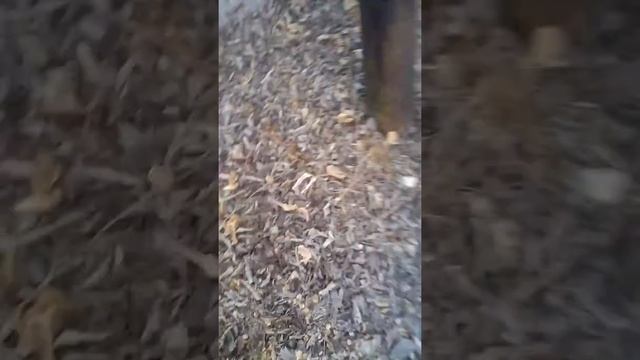 Дьявол.ru смотреть онлайн