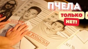 28 марта премьера клипа Пчела-Только нет!