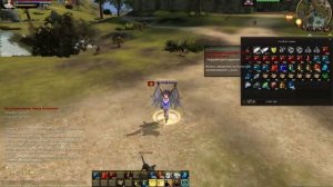 Карос:Гайд (информация) по классу "Паладин".