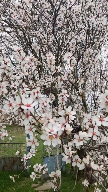 НАШ ЛЮБИМЫЙ КРЫМ❤ смотреть онлайн