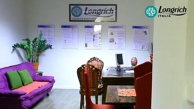 LONGRICH ITALY Head Office смотреть онлайн