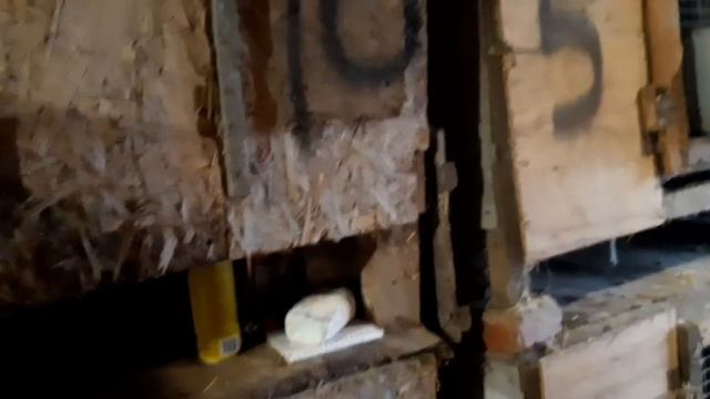 Кролівництво. Розбір основних  питаннь.