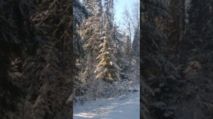 №73 Выравнивание потоков сознания