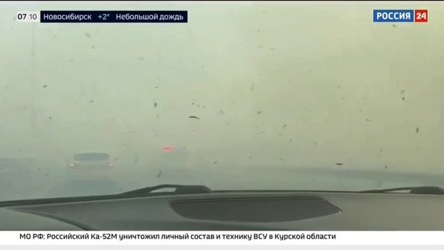 Россия 24, Москва, 18 марта 2025 Природные пожары в Дагестане и Адыгее смотреть онлайн